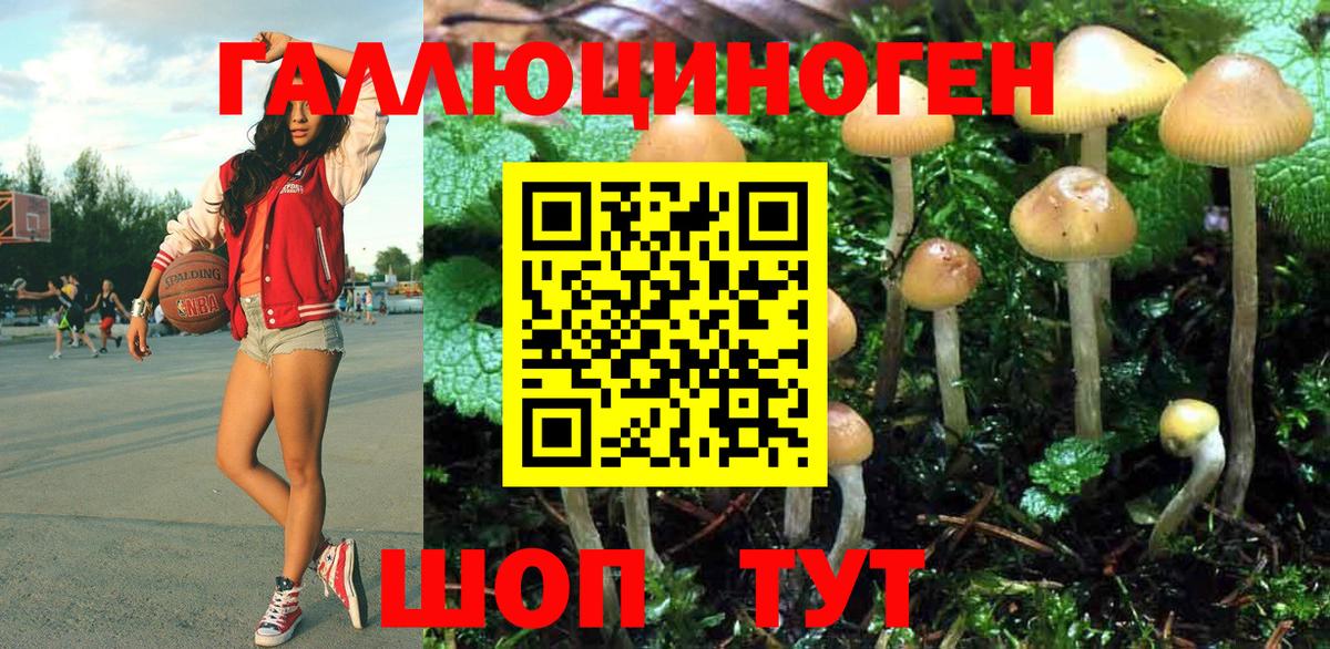 Галлюциногенные грибы GOLDEN TEACHER Кореновск