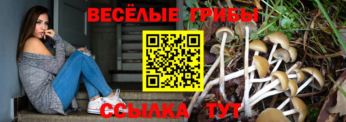 Псилоцибиновые грибы Psilocybine cubensis  Вход с VPN  Кореновск 